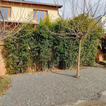 Le Cosy Du Plongeoir - T2 Neuf Avec Vue Sur Le Lac De Serre Poncon Et Grande Terrasse Avec Jardin Savines Ngoại thất bức ảnh